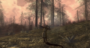 ScreenShot00016