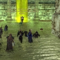 Do you think we put too much chlorine in the pool? OD Poison Wing
