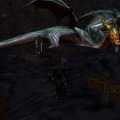 'There was no one behind me!' - Hahaha! Silly dragon! :D